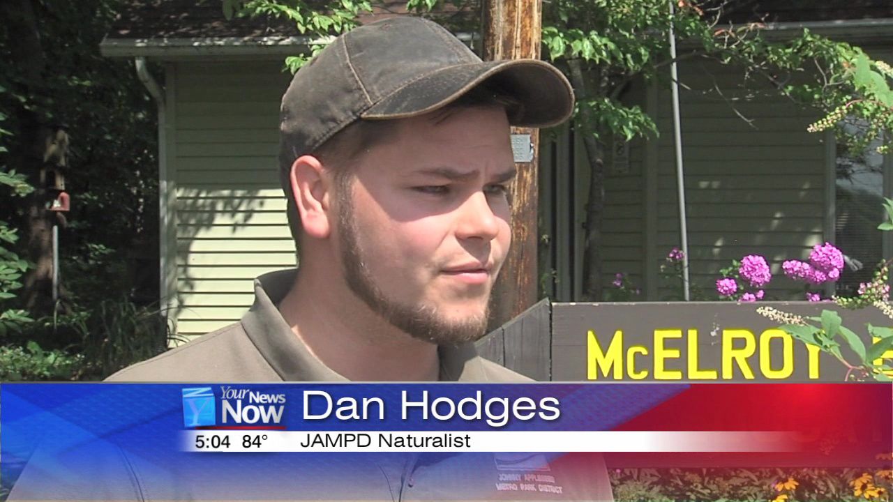 USDA asking people to check trees for invasive species in the month of August 2.jpg